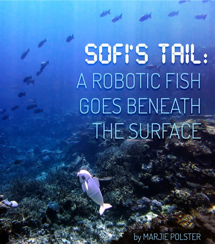 E-book cover for Sofi's Tail: A Robotic Fish Goes Beneath the Surface by Marjie Polster.